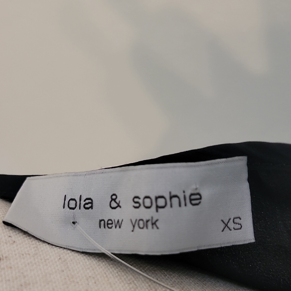 Lola & Sophie Black Silk Midi Dress - Picture 2 of 5
